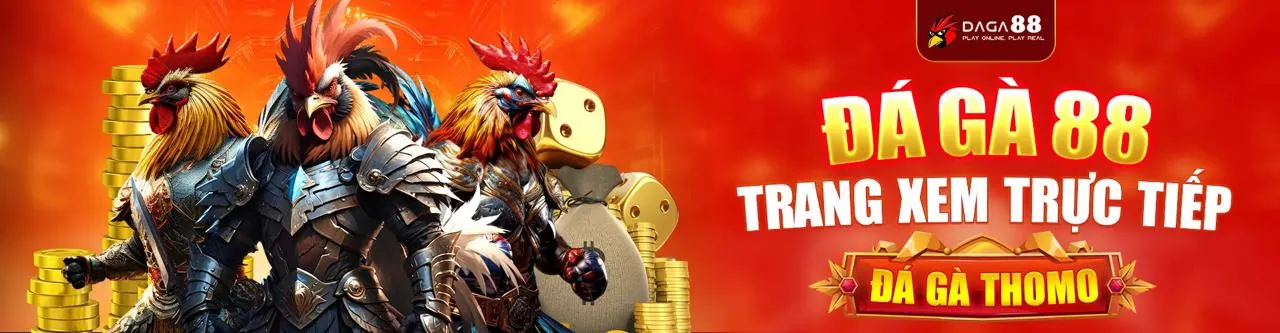 Đá gà trực tuyến kịch tính tại OKVIP